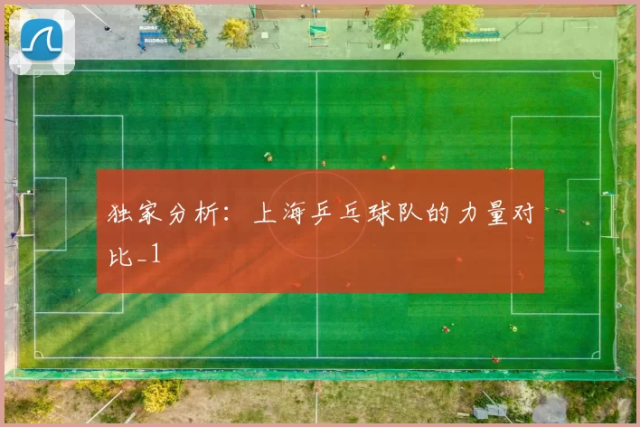 独家分析：上海乒乓球队的力量对比_1