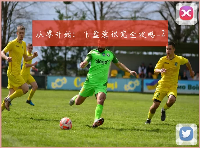 从零开始：飞盘意识完全攻略_2