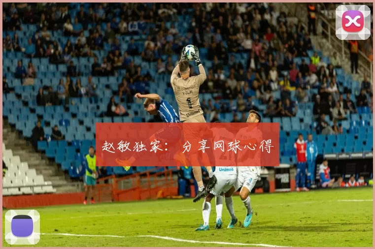 赵敏独家：分享网球心得