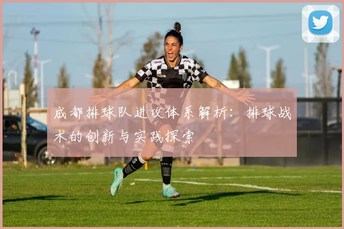 成都排球队进攻体系解析：排球战术的创新与实践探索