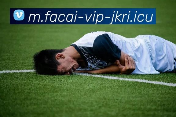 九游体育APP 高清赛事图